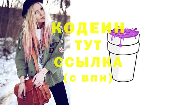 МДПВ Гусев