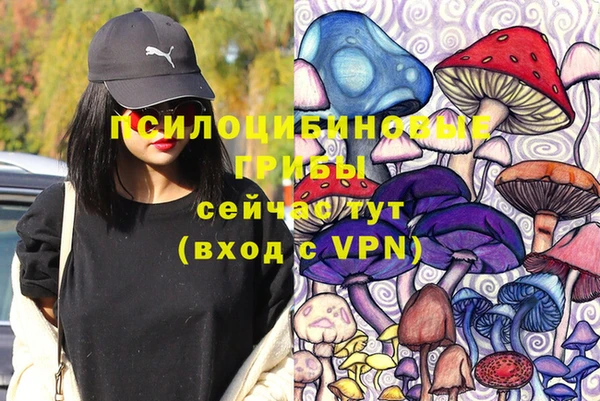 МДПВ Гусев