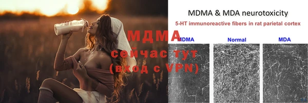 МДПВ Гусев