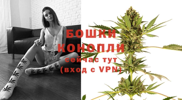 тгк Семёнов