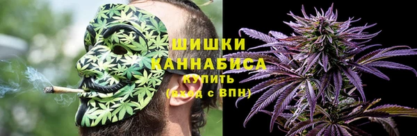 тгк Гусь-Хрустальный