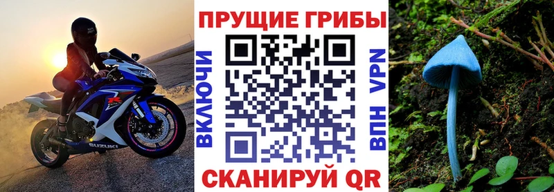 Псилоцибиновые грибы MAGIC MUSHROOMS  что такое наркотик  Елабуга 